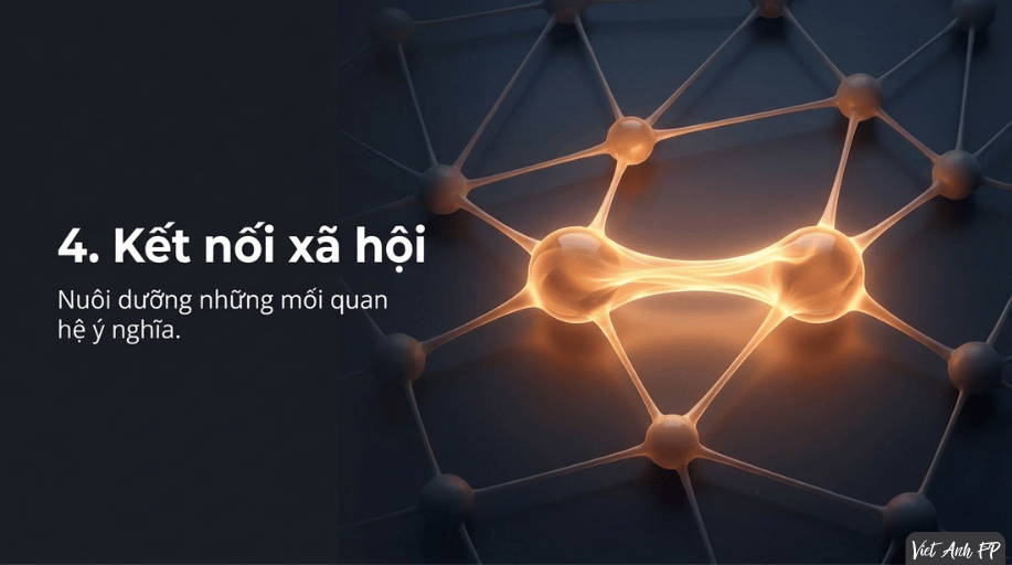 #B12 Cảm Xúc Tích Cực: Những Viên Gạch Nhỏ Xây Nên Một Cuộc Đời Lớn 12 12 3