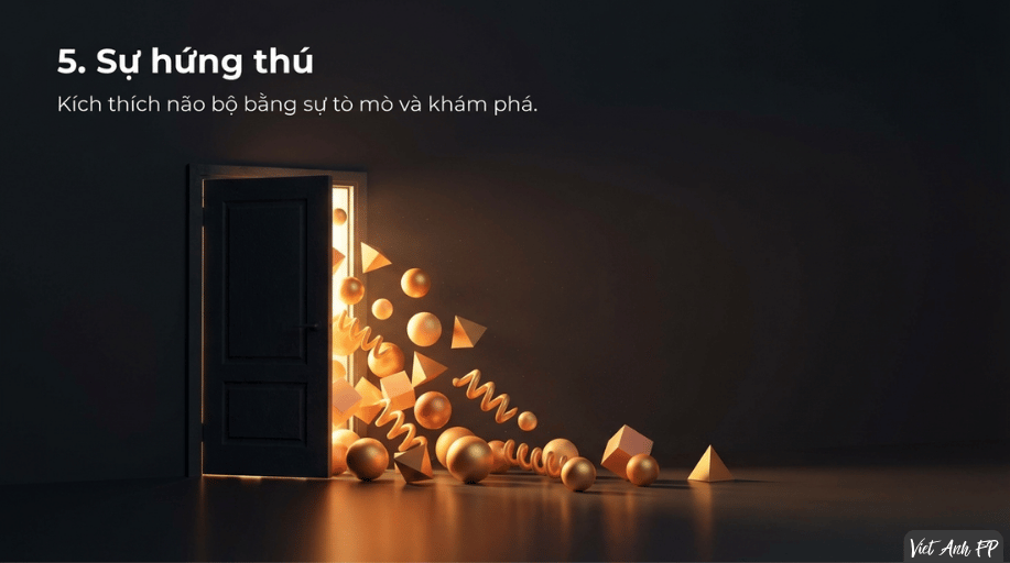 #B12 Cảm Xúc Tích Cực: Những Viên Gạch Nhỏ Xây Nên Một Cuộc Đời Lớn 13 13 3